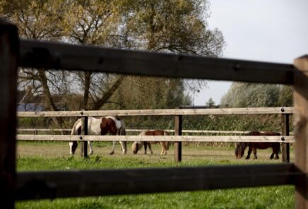 105584-1200-800-Crop