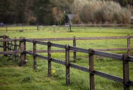 105587-1200-800-Crop