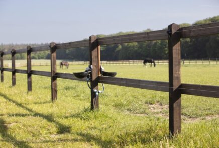 105592-1200-800-Crop