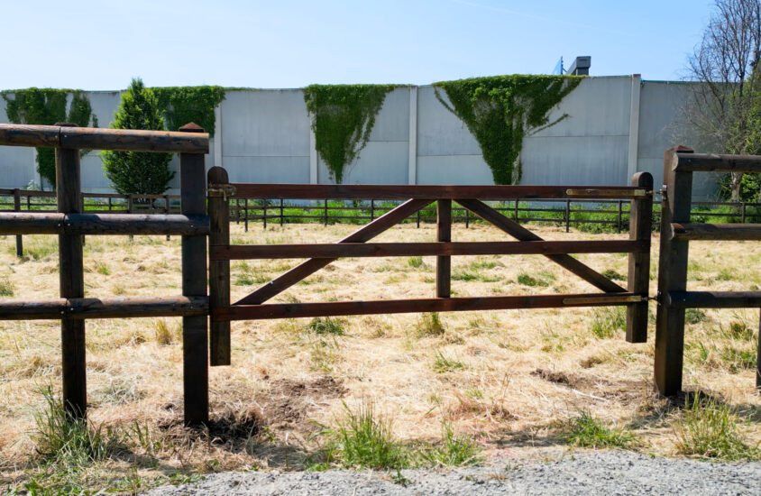 M Fences.00_00_00_00.Still001